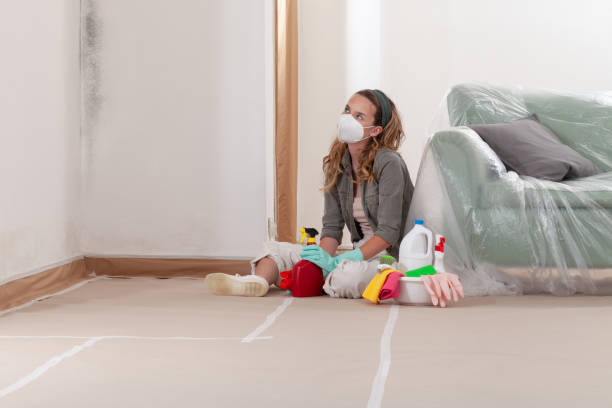 Reliable Basement Mold Remediation contractor in Livingston, NJ by WQB Mold Removal